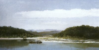 Backwaters of Guanabara Bay by Adolphe Martial Potemont